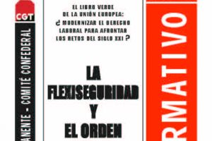 114. La Flexiseguridad y el orden social del capital