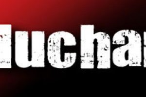 Banner lsqueluchan.org