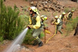 Pésame de CGT Tragsatec por los trabajadores fallecidos en el incendio de Torre de les Maçanes