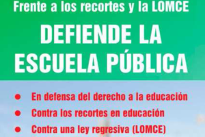 Jornada Estatal de Lucha en la Educación 13-D