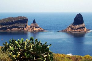 Despidos en la Reserva Marina de Cabo de Palos – Islas Hormigas