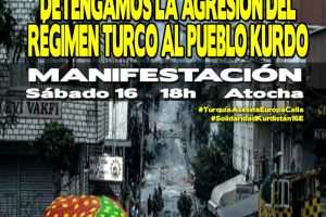 Actos en solidaridad con el pueblo kurdo y los movimientos sociales turcos, víctimas de la brutal represión del Gobierno de Ankara y el silencio de la UE