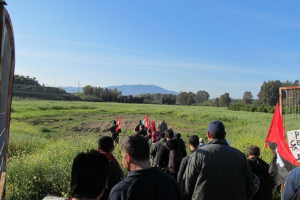 Sentencia sobre la ocupación de la finca en Pizarra (Málaga) en 2013