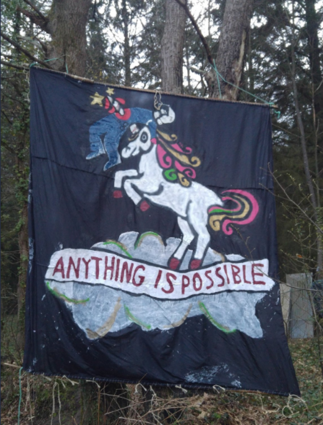 Apoyo a la ZAD (Zona A Defender) de Notre Dame Des Landes, quien vive una represión muy fuerte de parte del estado Francés, con una campaña de desprestigio, y una ola de desalojo.