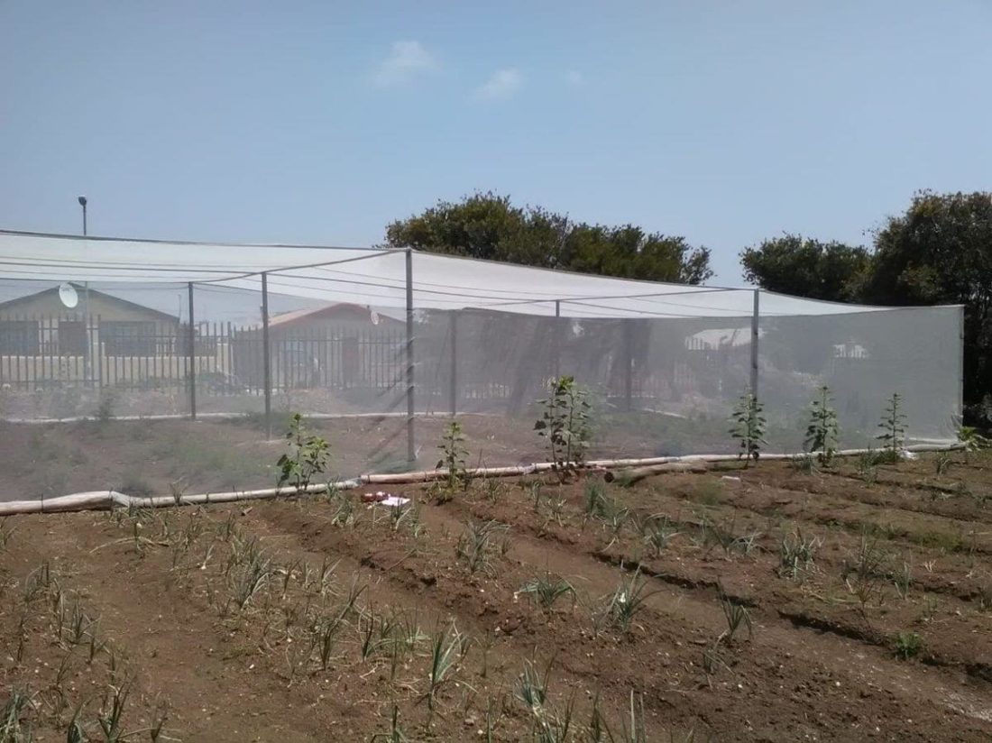 Solidaridad con las trabajadoras en lucha en Frutas Raquel – Marruecos