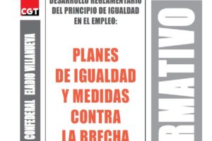 Boletín 165: Desarrollo reglamentario del principio de igualdad en el empleo: planes de igualdad y medidas contra la brecha salarial