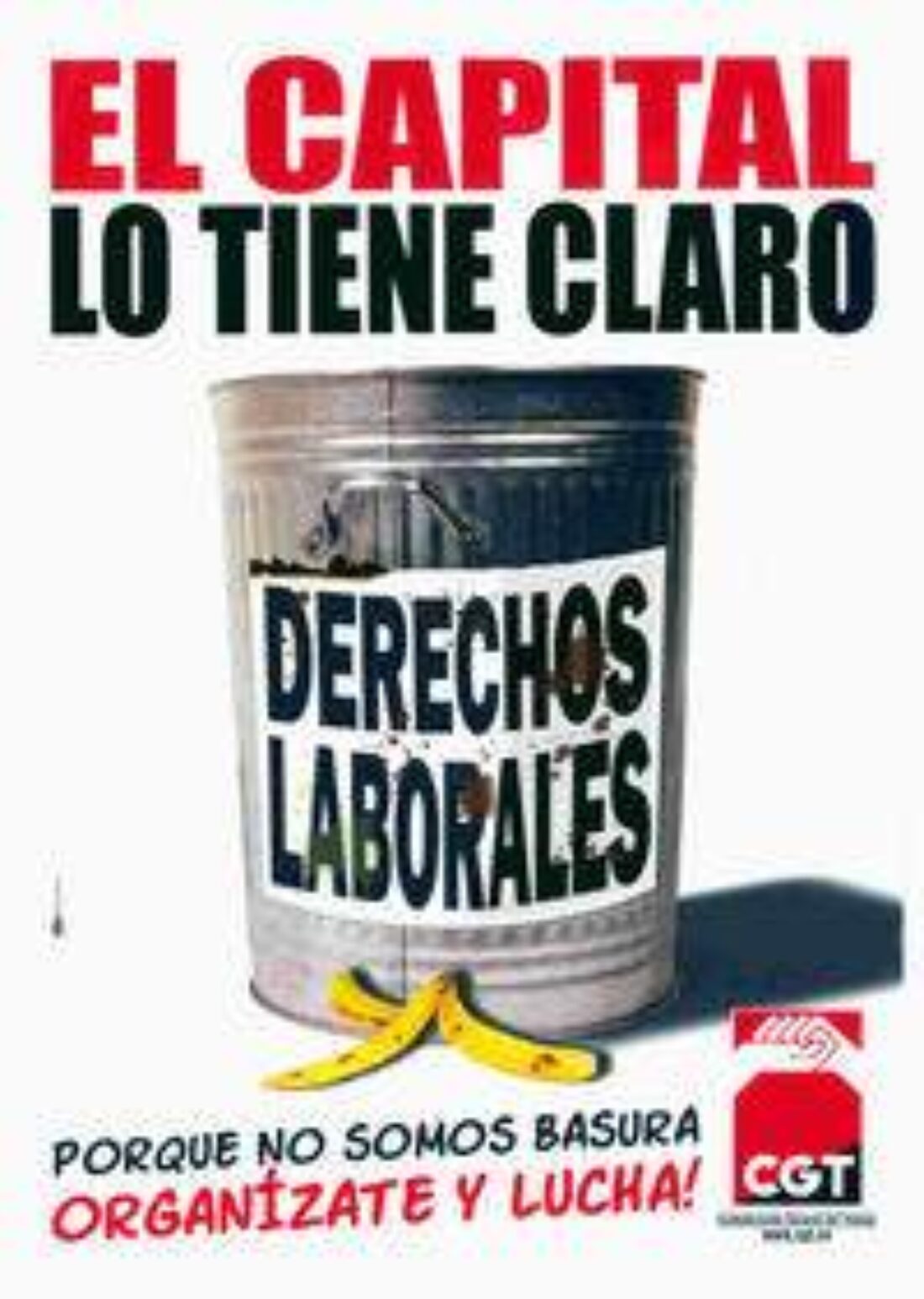 El Tribunal Constitucional avala la Injusticia Social y actúa contra el llamado Estado Social y de Derecho