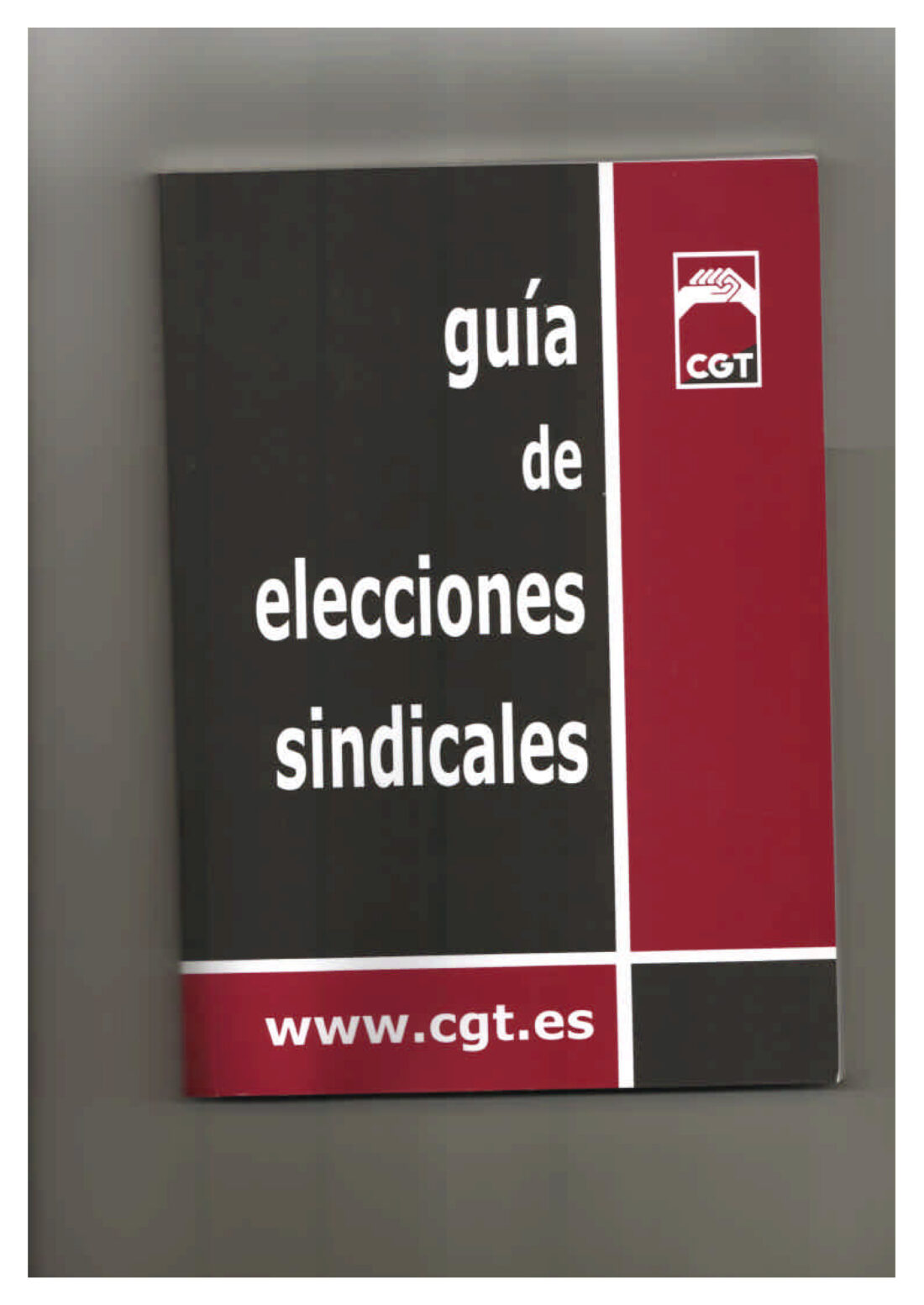 Guía de Elecciones Sindicales (Ed. 2005)