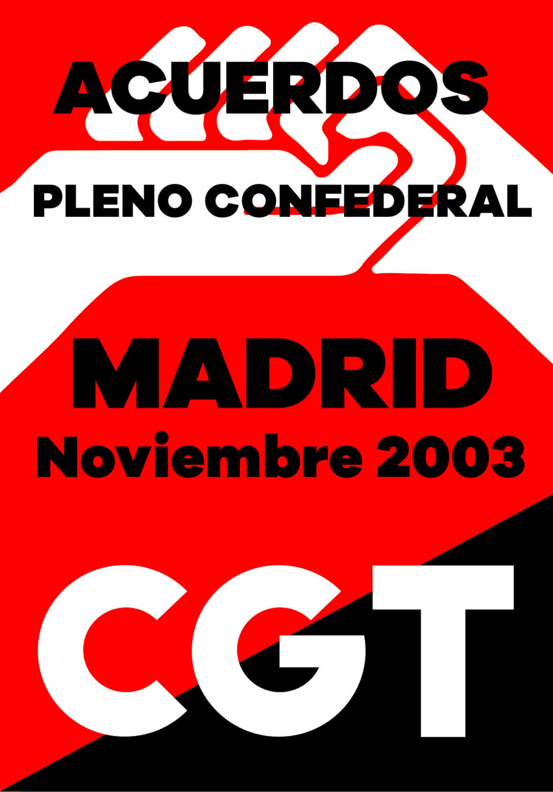 Pleno Confederal de Noviembre de 2003